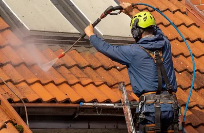 Démoussage et hydrofuge de toiture à Frans